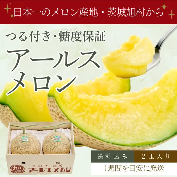 茨城旭村 アールスメロン【丸秀品】