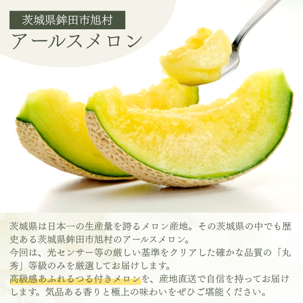 茨城旭村 アールスメロン【丸秀品】の商品画像 2