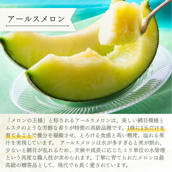 茨城旭村 アールスメロン【丸秀品】の商品画像 4