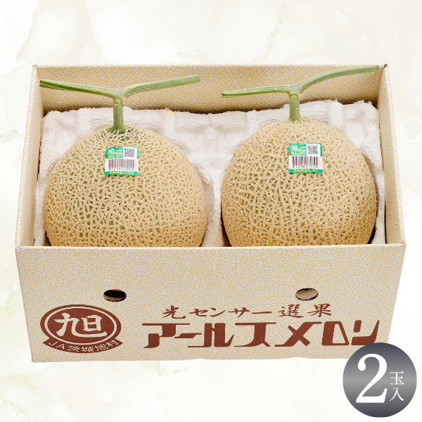 茨城旭村 アールスメロン【丸秀品】の商品画像 5