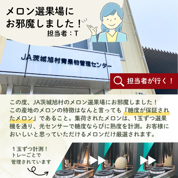 茨城旭村 アールスメロン【丸秀品】の商品画像 6