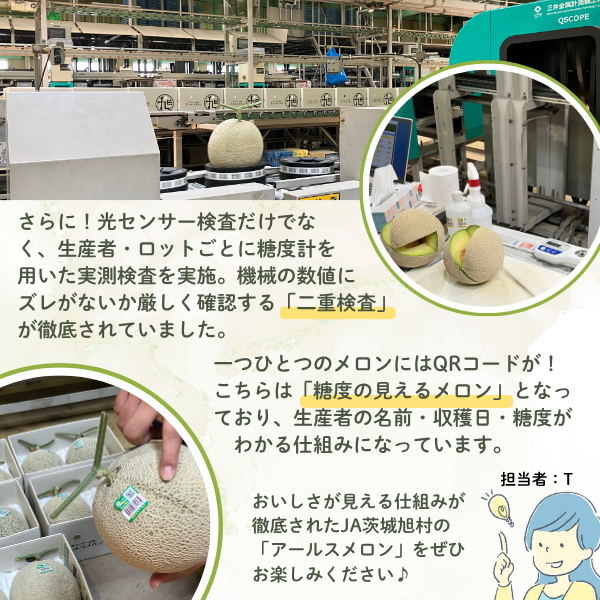 茨城旭村 アールスメロン【丸秀品】の商品画像 7