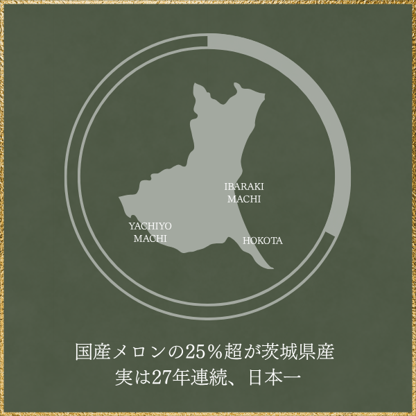 茨城旭村 アールスメロン【丸秀品】の商品画像 11