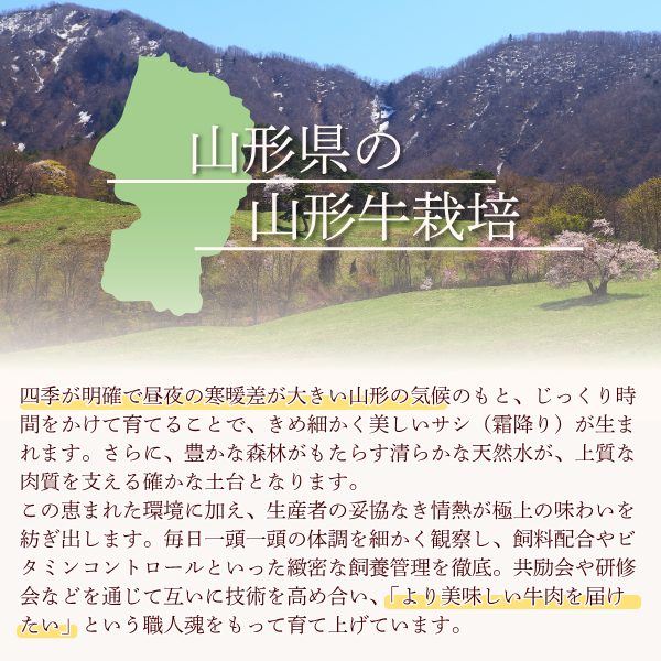 総称山形牛　切り落とし　500g【3-4人分】の商品画像 8