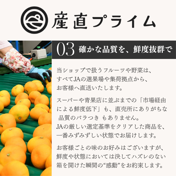 総称山形牛　切り落とし　500g【3-4人分】の商品画像 15