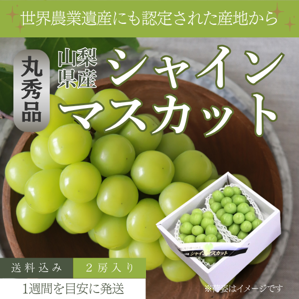 【ご褒美用】山梨シャインマスカット　２房入