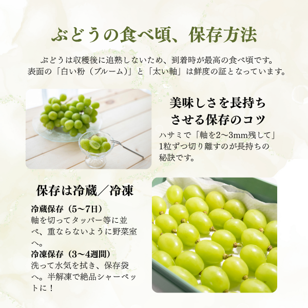 山梨ぶどう山盛りセット 7房おまとめの商品画像 6
