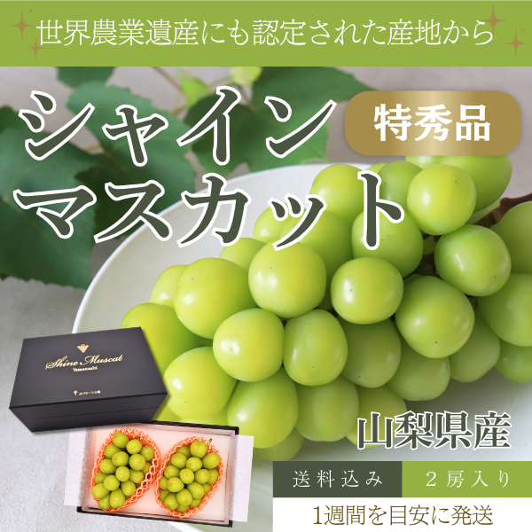 【限定販売】山梨シャインマスカット 特秀品