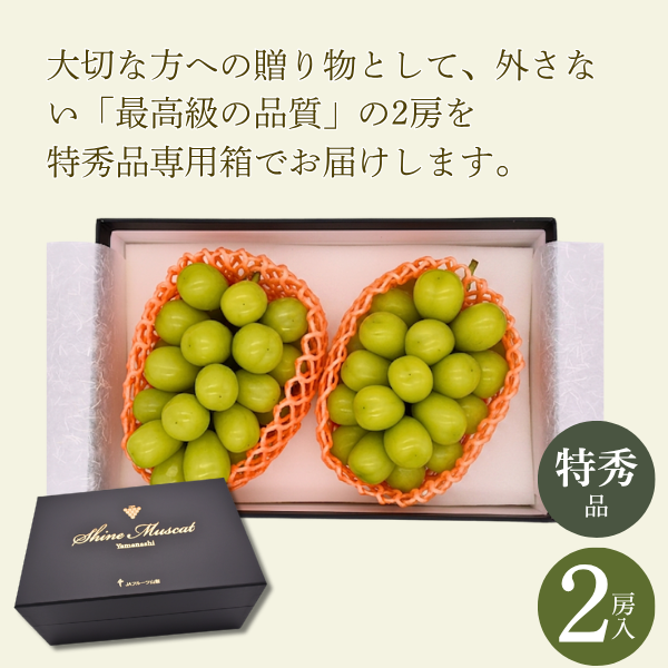 【限定販売】山梨シャインマスカット 特秀品の商品画像 2