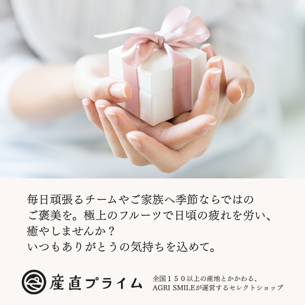 【限定販売】山梨シャインマスカット 特秀品の商品画像 9