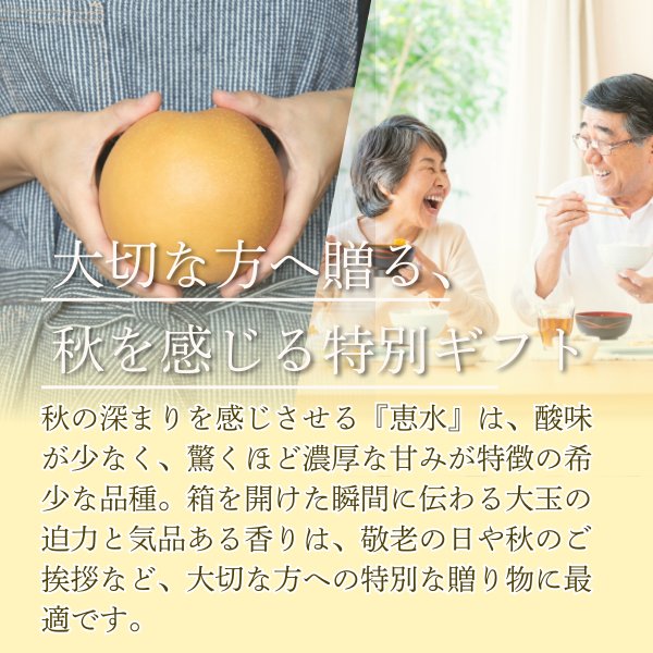 ＼シーズン終了間際の特価でご提供／恵水梨【茨城県オリジナル品種】の商品画像 2