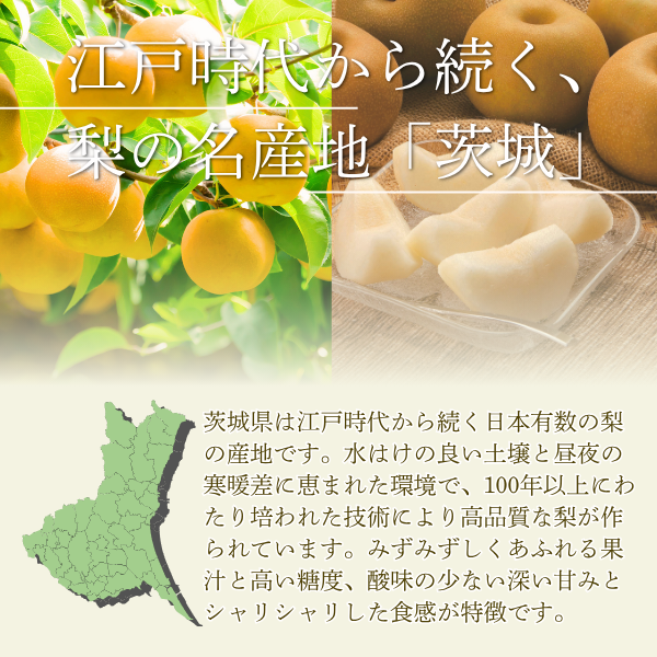 ＼シーズン終了間際の特価でご提供／恵水梨【茨城県オリジナル品種】の商品画像 9
