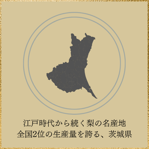 ＼シーズン終了間際の特価でご提供／恵水梨【茨城県オリジナル品種】の商品画像 8