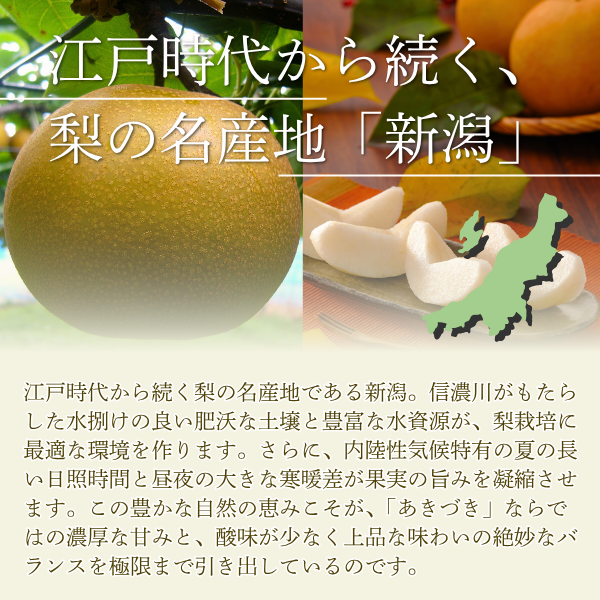 あきづき　〜糖度１３度以上保証の日本梨〜【JA直送】の商品画像 8
