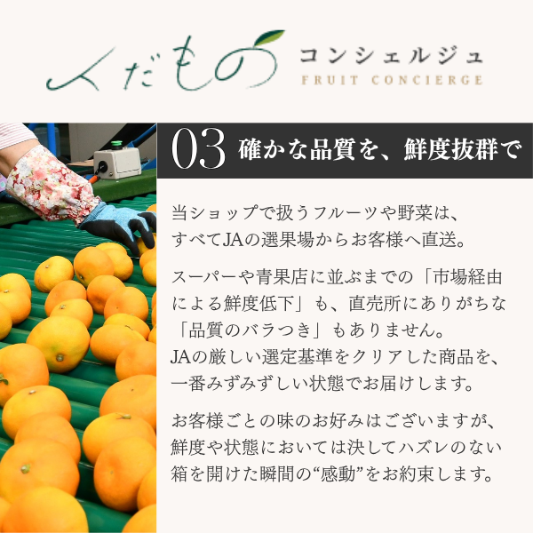 あきづき　〜糖度１３度以上保証の日本梨〜【JA直送】の商品画像 16