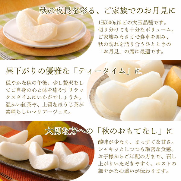 あきづき　〜糖度１３度以上保証の日本梨〜【JA直送】の商品画像 3