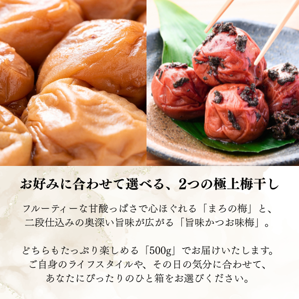 【日本一の梅産地和歌山県から】選べる2種の梅干し ＜紀州南高＞の商品画像 2