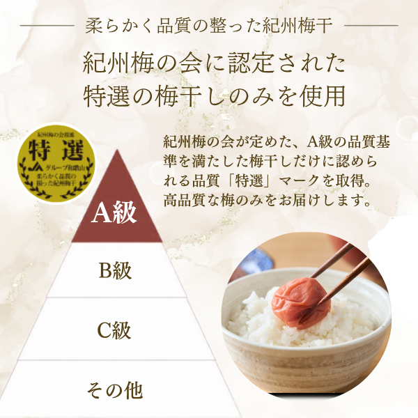 【日本一の梅産地和歌山県から】選べる2種の梅干し ＜紀州南高＞の商品画像 6