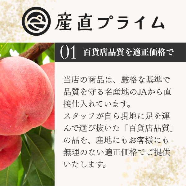 【日本一の梅産地和歌山県から】選べる2種の梅干し ＜紀州南高＞の商品画像 13