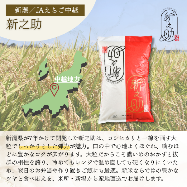 令和８年産 新米 〜五感で楽しむ新鮮米〜の商品画像 10