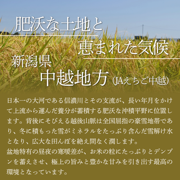 令和８年産 新米 〜五感で楽しむ新鮮米〜の商品画像 13