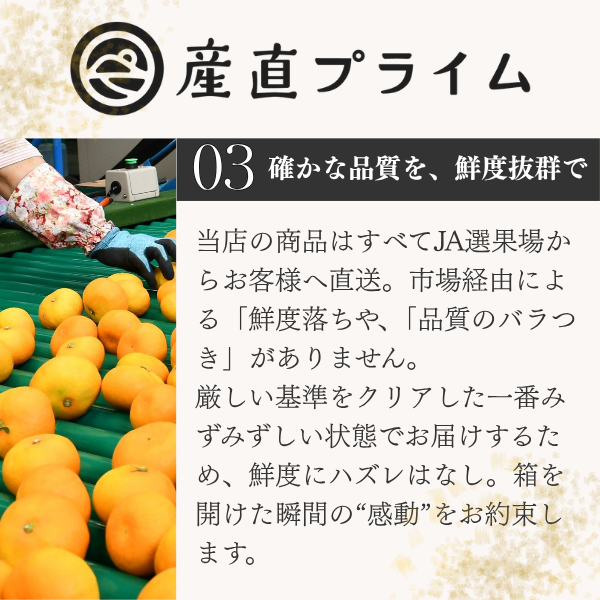 令和８年産 新米 〜五感で楽しむ新鮮米〜の商品画像 18