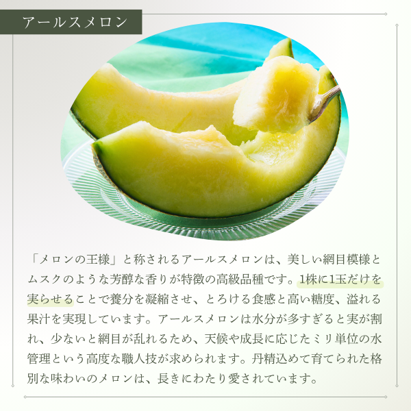 ＼これを逃したら１年後／ アールスメロン ２玉 化粧箱入【茨城旭村産】の商品画像 4