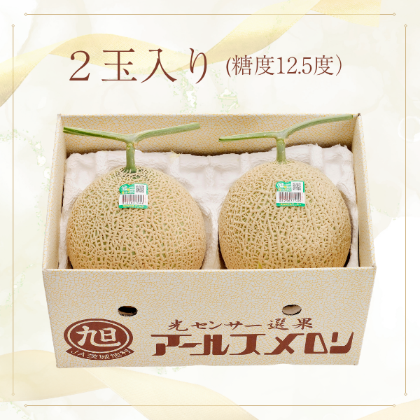 ＼これを逃したら１年後／ アールスメロン ２玉 化粧箱入【茨城旭村産】の商品画像 5