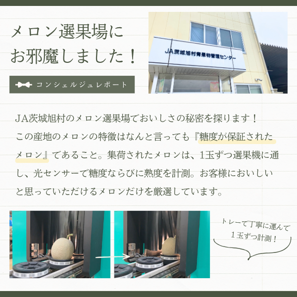 ＼これを逃したら１年後／ アールスメロン ２玉 化粧箱入【茨城旭村産】の商品画像 6