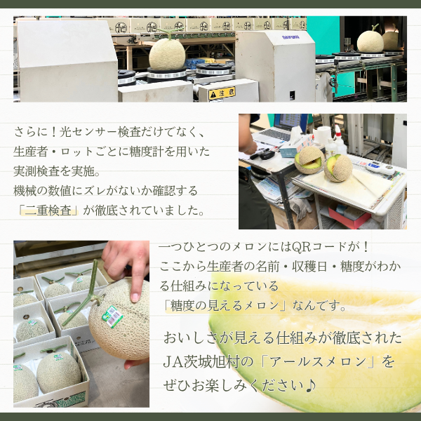 ＼これを逃したら１年後／ アールスメロン ２玉 化粧箱入【茨城旭村産】の商品画像 7