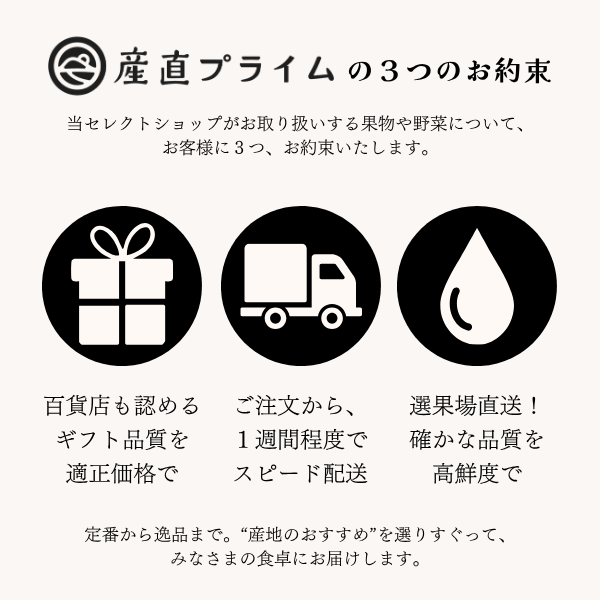 イバラキングメロン 特大サイズ 〜日本一のメロン産地・茨城県オリジナル品種〜の商品画像 11