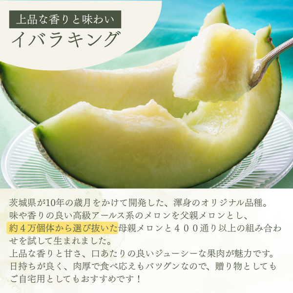 イバラキングメロン 特大サイズ 〜日本一のメロン産地・茨城県オリジナル品種〜の商品画像 2