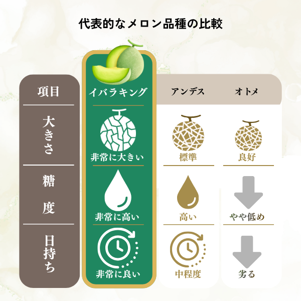イバラキングメロン 特大サイズ 〜日本一のメロン産地・茨城県オリジナル品種〜の商品画像 3