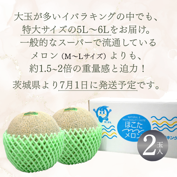 イバラキングメロン 特大サイズ 〜日本一のメロン産地・茨城県オリジナル品種〜の商品画像 4