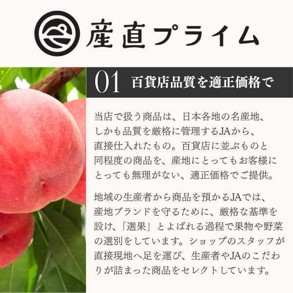イバラキングメロン 特大サイズ 〜日本一のメロン産地・茨城県オリジナル品種〜の商品画像 12
