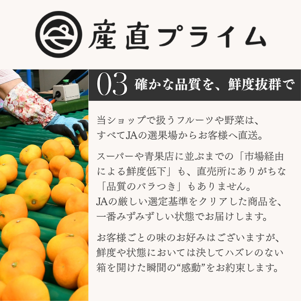 イバラキングメロン 特大サイズ 〜日本一のメロン産地・茨城県オリジナル品種〜の商品画像 14
