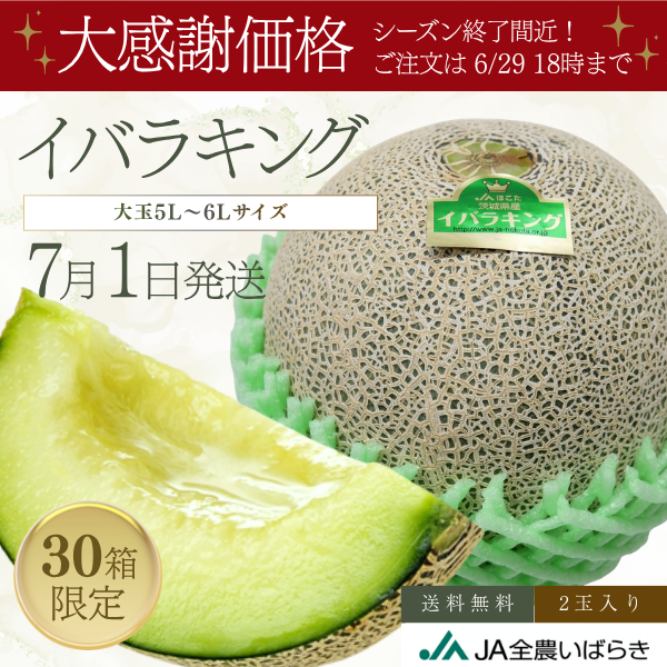 イバラキングメロン 特大サイズ 〜日本一のメロン産地・茨城県オリジナル品種〜の商品画像 1