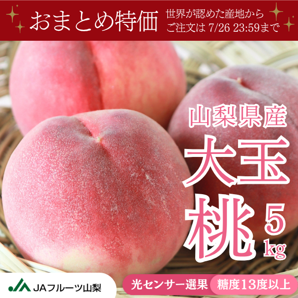 山梨の旬の桃 5kg 15-18玉【大容量】 - 世界農業遺産認定産地から直送 - 